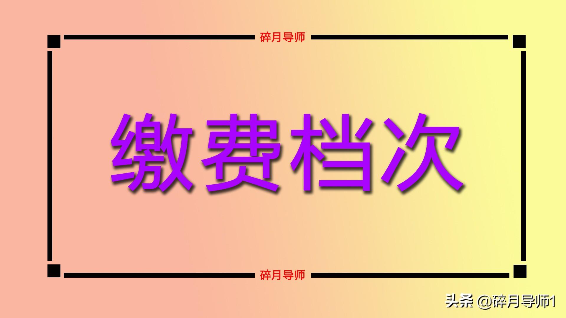 广东深圳养老金办理全攻略，一步到位了解养老金办理流程与要点